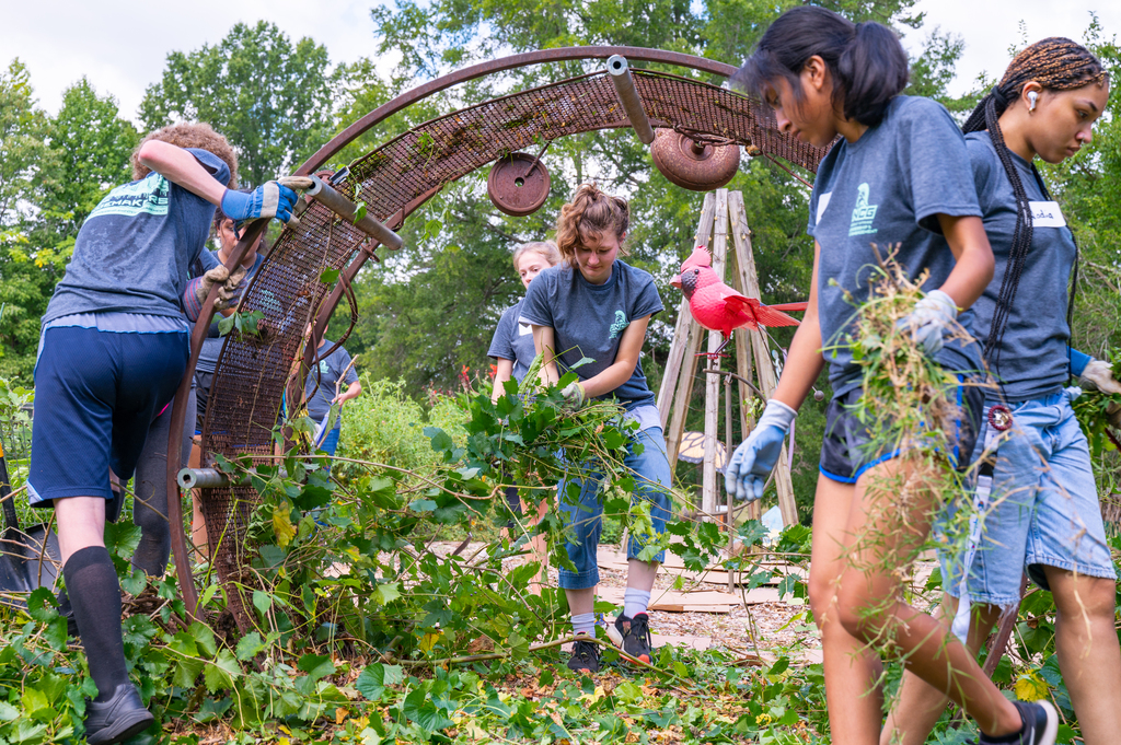 Students helping in the garden during Spartan Service Day